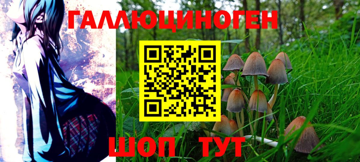 Псилоцибиновые грибы прущие грибы  Псилоцибиновые грибы Cubensis  Ханты-Мансийск  купить наркоту  Вход с VPN 
